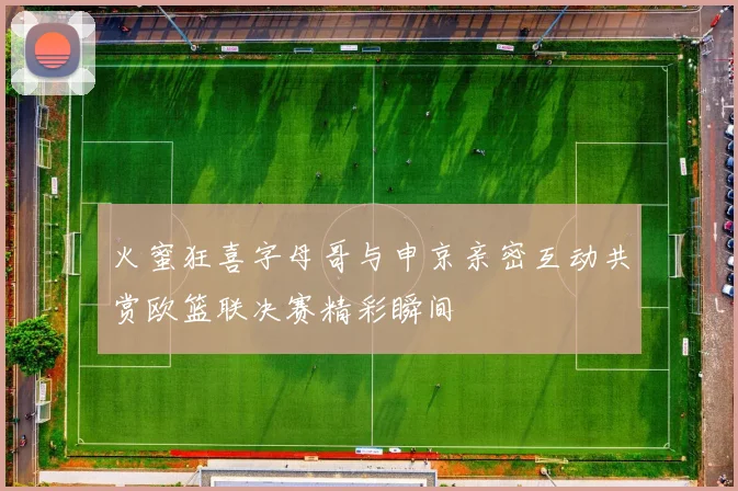 火蜜狂喜字母哥与申京亲密互动共赏欧篮联决赛精彩瞬间